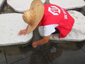 开荒清洁